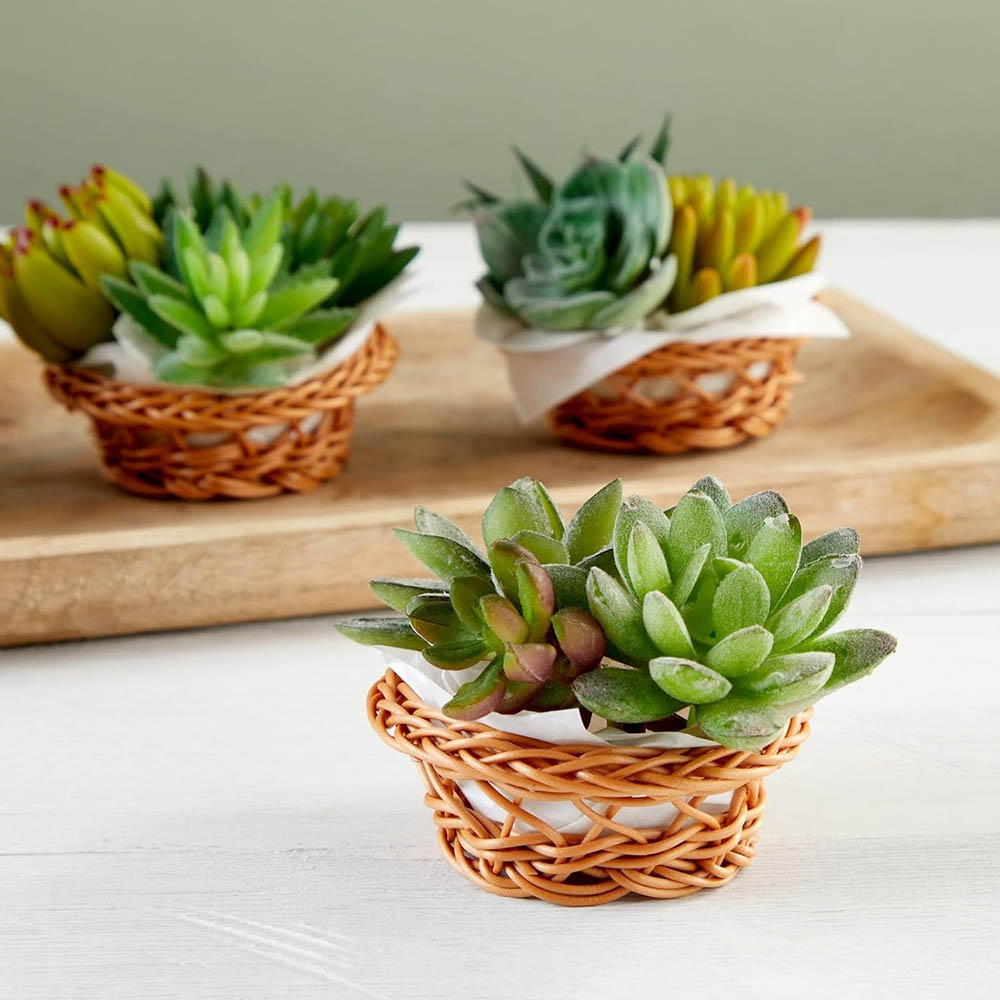 Mini Woven Basket Set - 3.1 x  - огляд і ціна Woven Basket Set